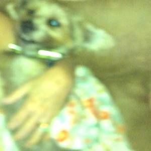 Meet your Posher, Brooke